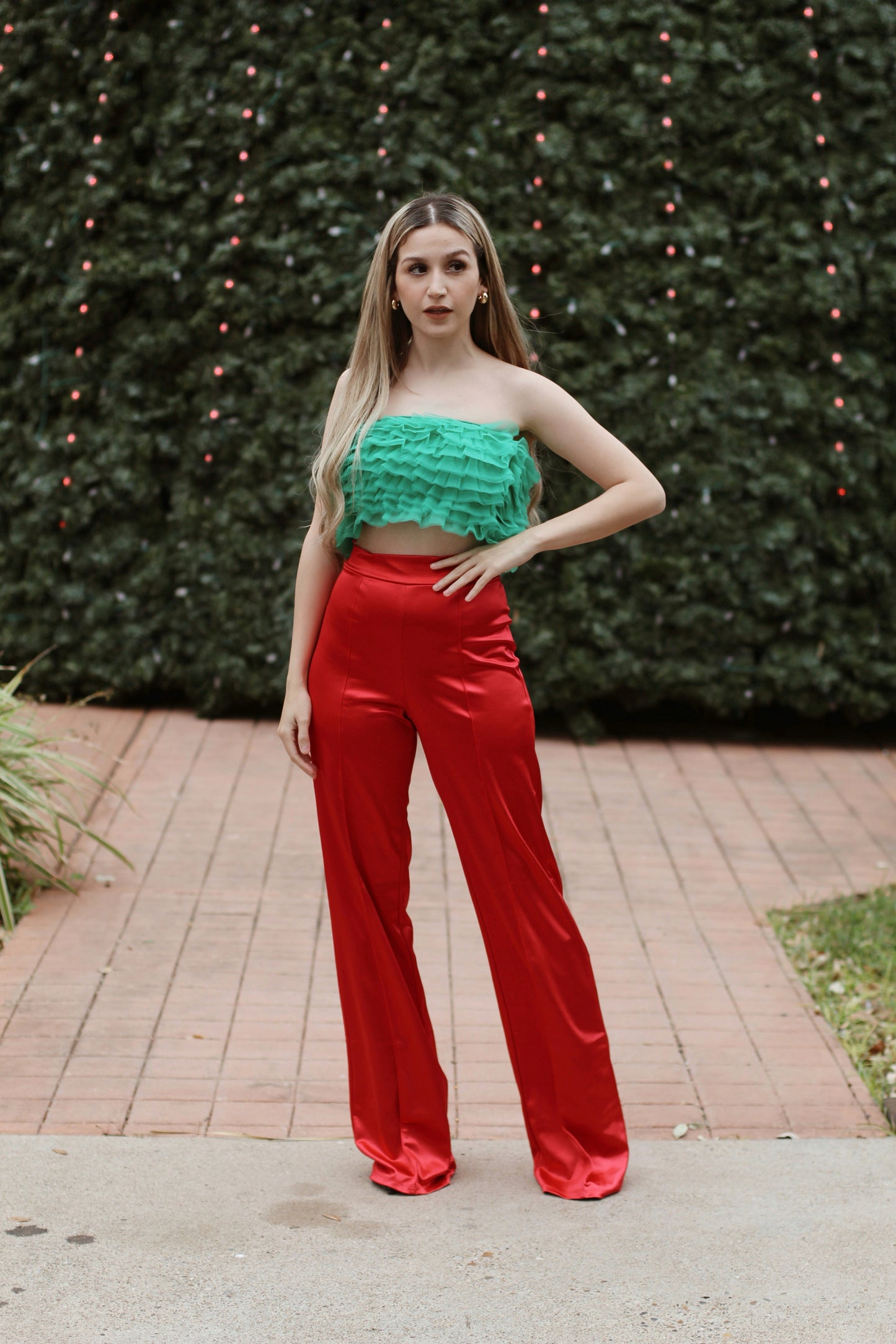 Christmas Satin High Waisted Pants