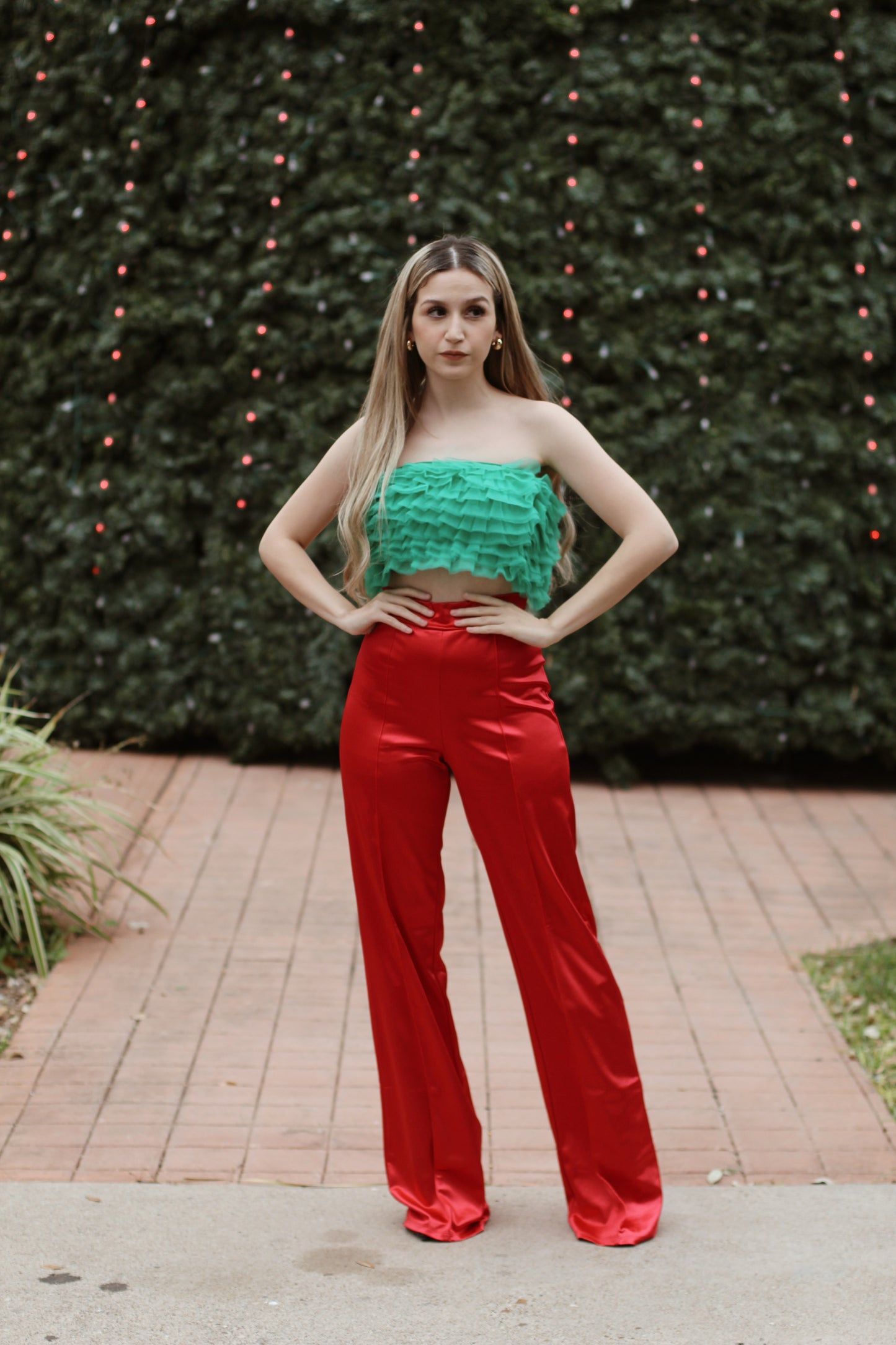 Christmas Satin High Waisted Pants